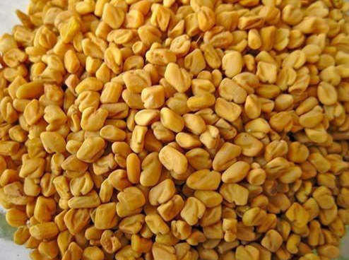 25kg+ Fenugreek Seeds Dried Trigonella foenum-graecum Seeds Fabaceae Uluhal Vegan Spices Seeds