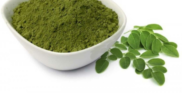 25kg+ Dried Moringa Oleifera Leaf/Leaves powder Fresh from Ceylon 100% Organic natural Dried Leaves Powder